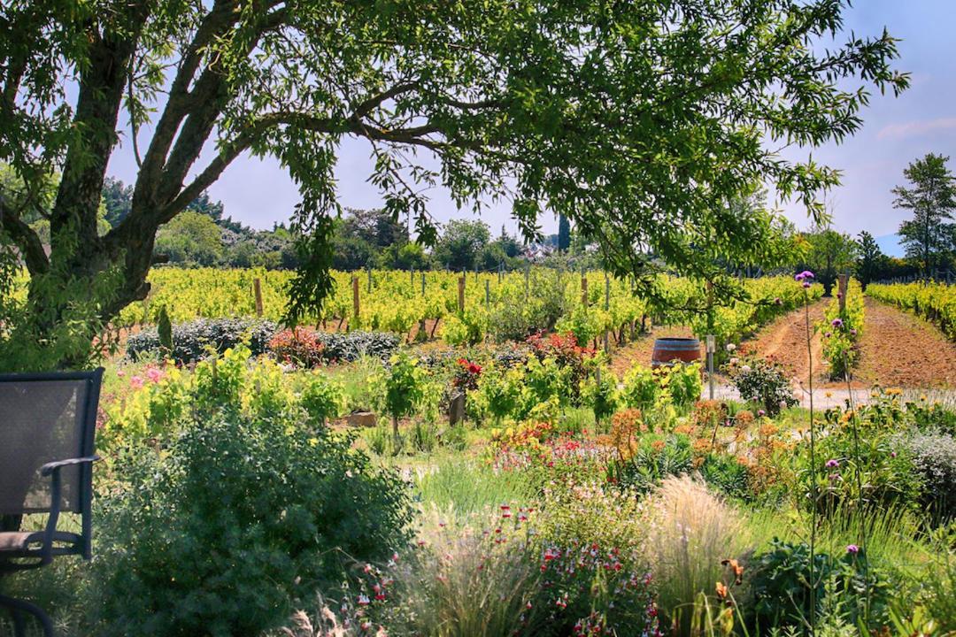 O'Vineyards B&B Carcassonne Villemoustaussou エクステリア 写真