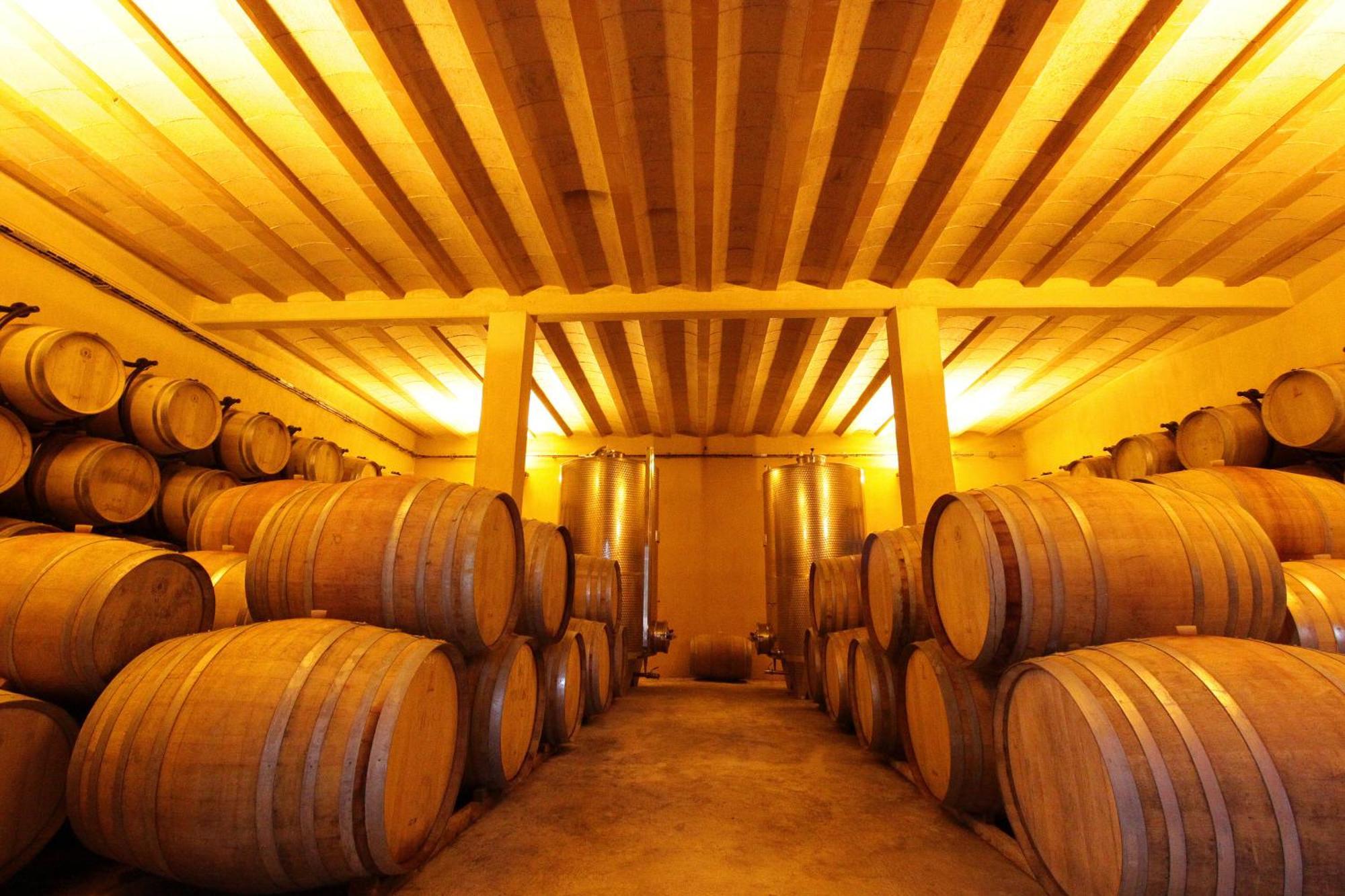 O'Vineyards B&B Carcassonne Villemoustaussou エクステリア 写真