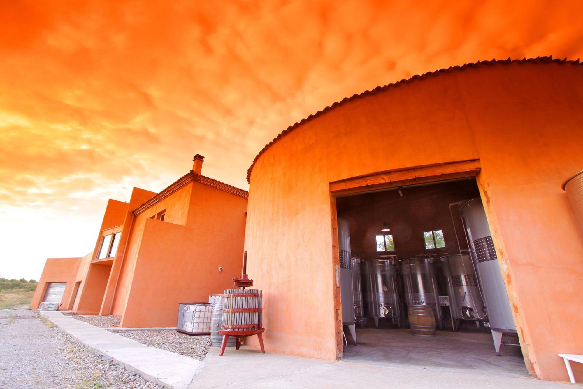 O'Vineyards B&B Carcassonne Villemoustaussou エクステリア 写真