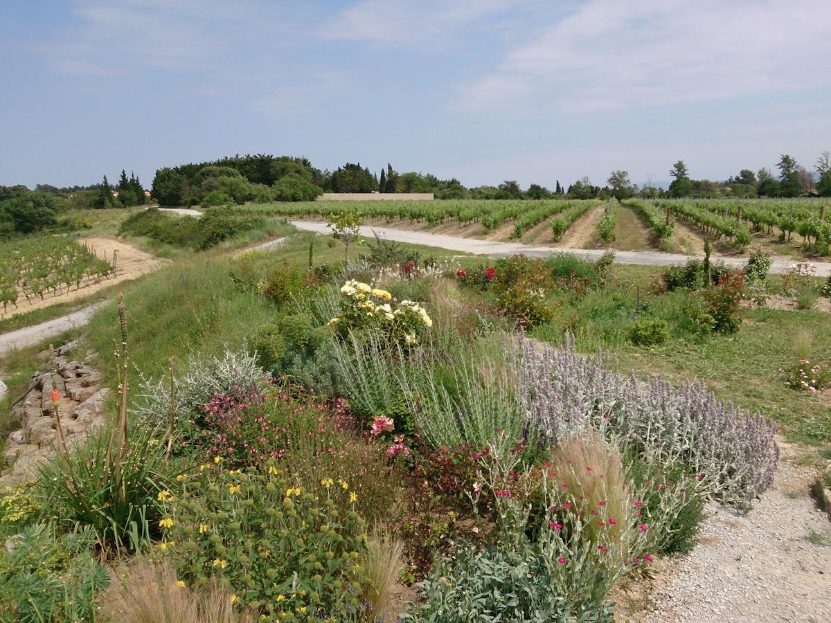O'Vineyards B&B Carcassonne Villemoustaussou 部屋 写真