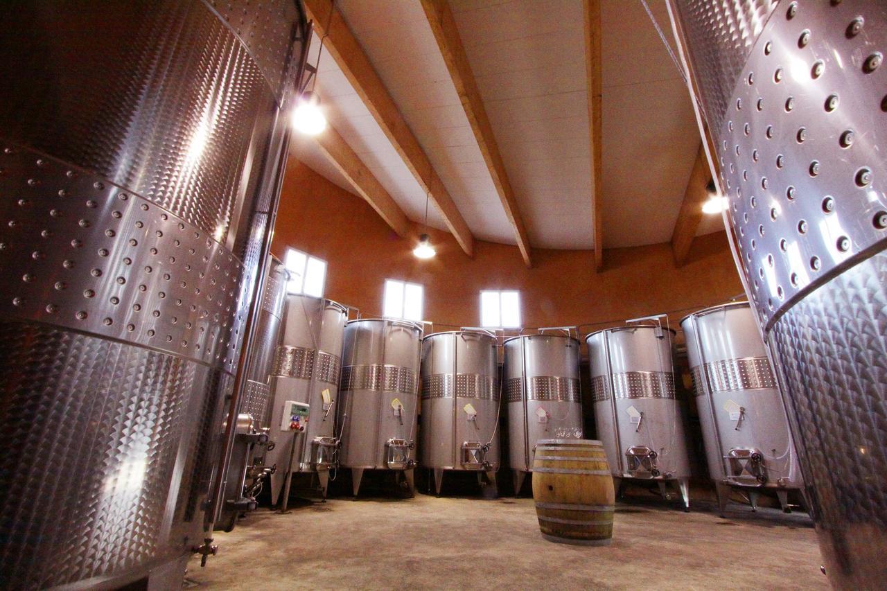 O'Vineyards B&B Carcassonne Villemoustaussou エクステリア 写真