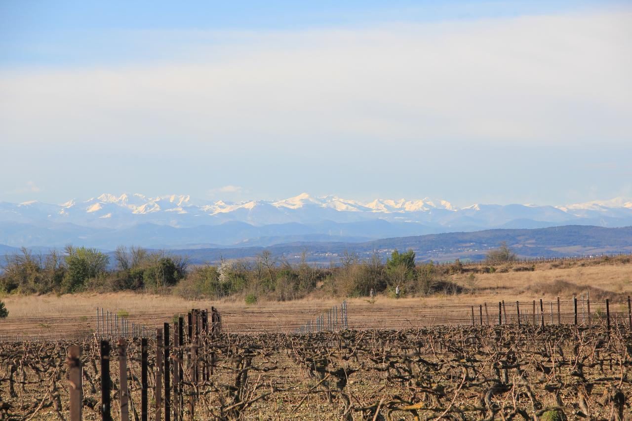 O'Vineyards B&B Carcassonne Villemoustaussou エクステリア 写真