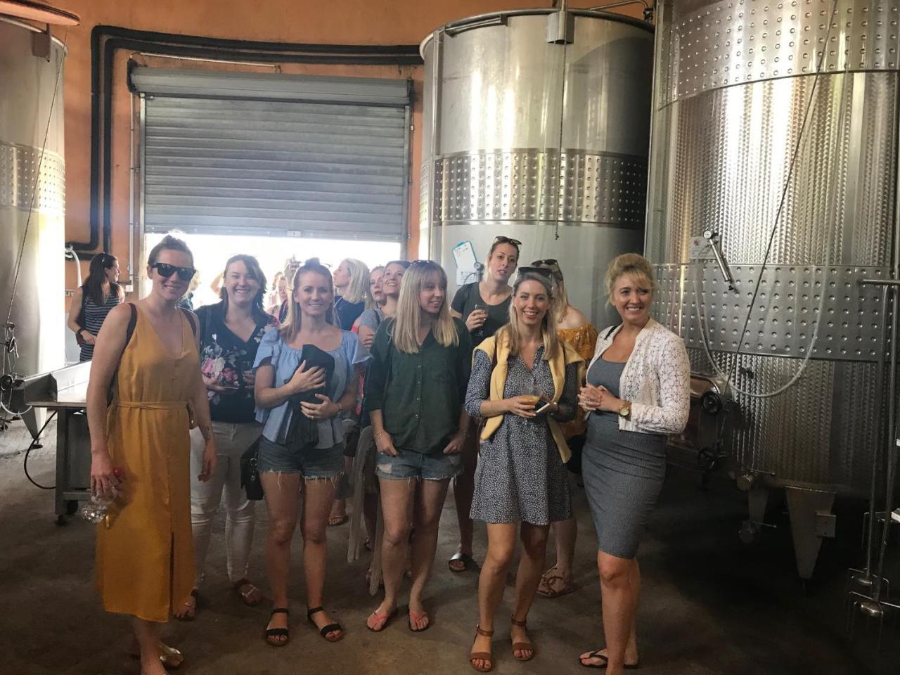 O'Vineyards B&B Carcassonne Villemoustaussou エクステリア 写真